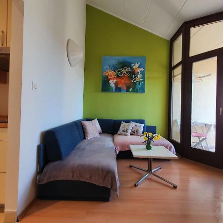 Janja Apartment Novigrad Istria Exteriör bild