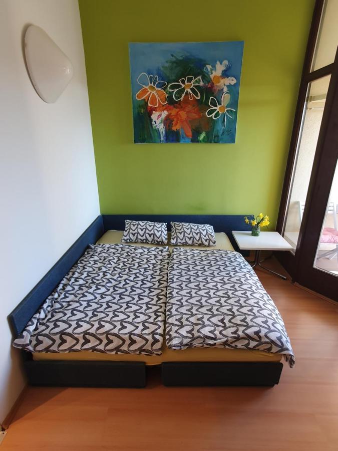 Janja Apartment Novigrad Istria Exteriör bild