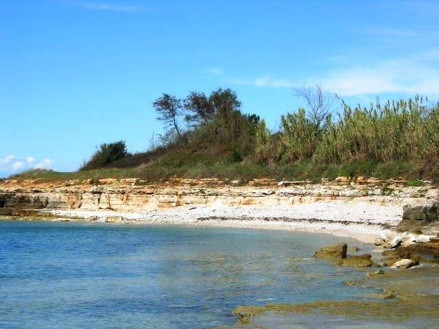 Janja Apartment Novigrad Istria Rum bild